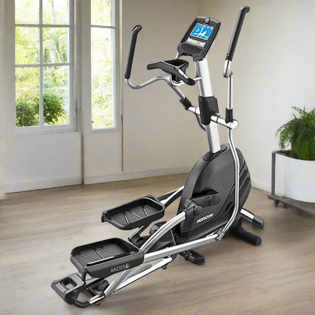 Horrison Fitness Andes 7i - black and silver in a home gym setting